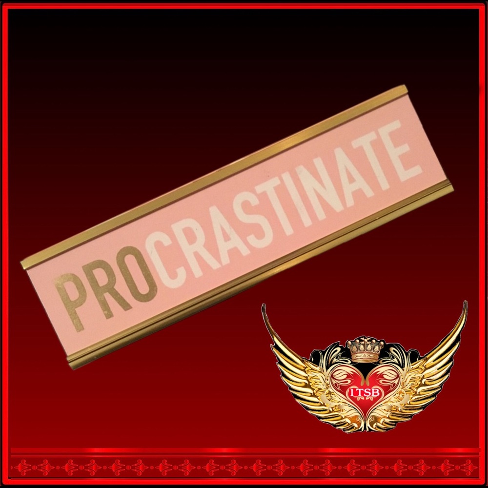 💝🆕 SexyBrainBoutique “Pro”crastinate Desk Plaque💝